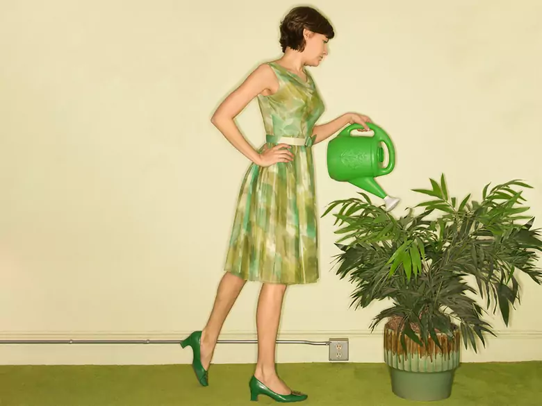 Blumen für zu Hause