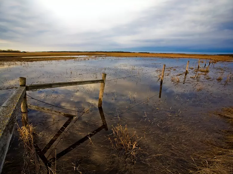 Libyen: Erste Vergiftungen durch verseuchtes Wasser