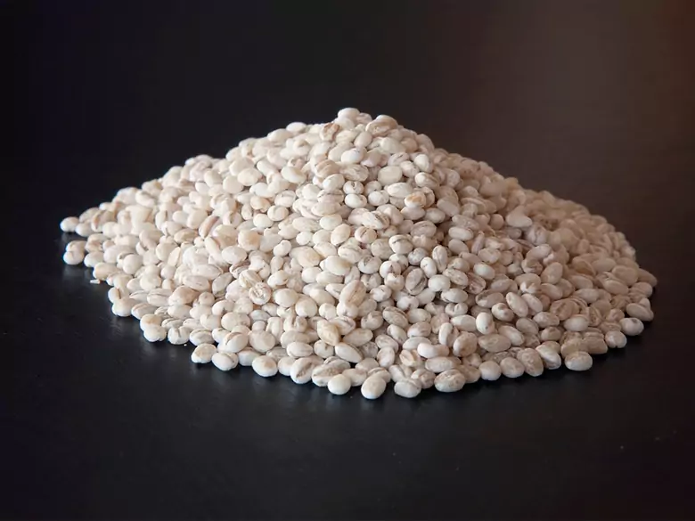 Was ist der gesündeste Reis für uns?