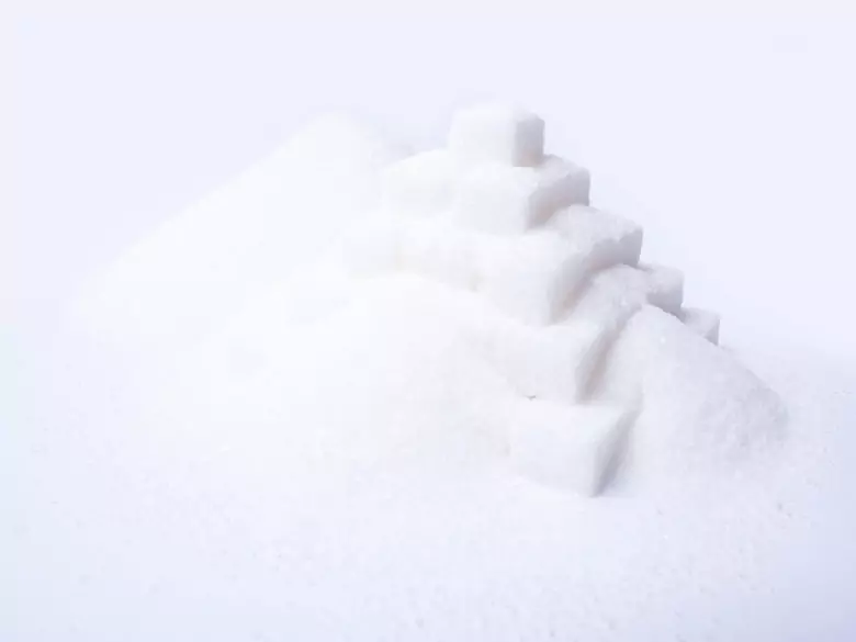 Typ-1-Diabetes und Magen-Darm-Bakterien?