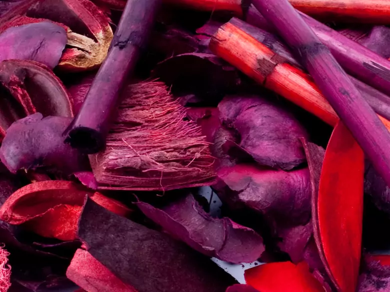 Zimt, Nelken, Kardamom - Immunitätsverstärker für den Winter