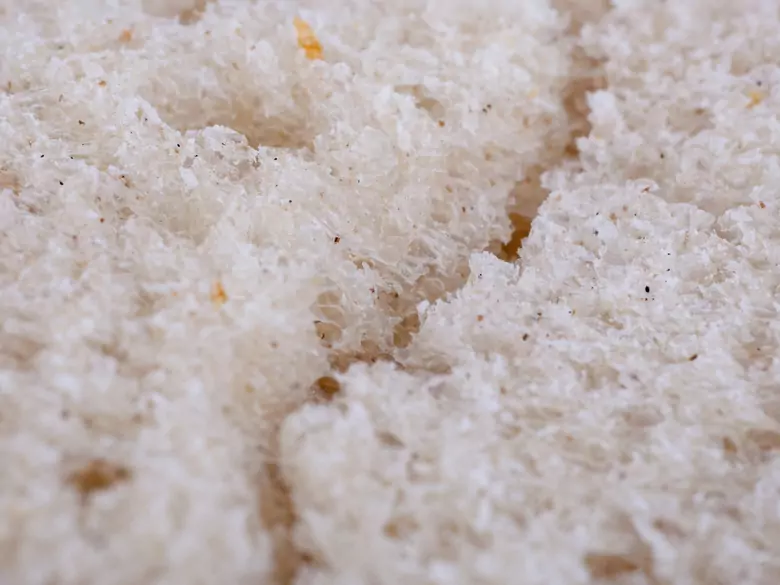 Ernährung bei einem Kind mit chronischer Lebererkrankung