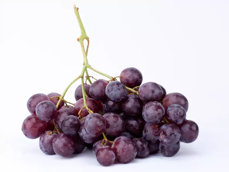 Glukose als Kohlenhydratquelle in der Kinderernährung