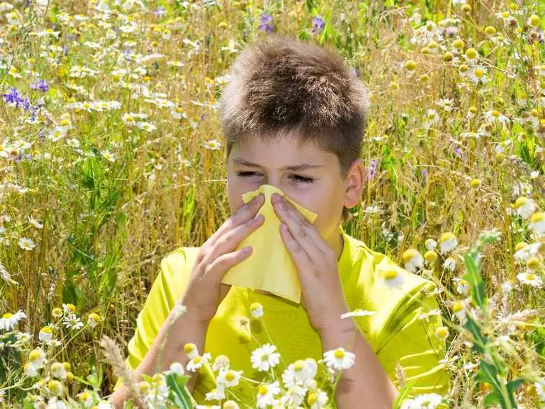 Ein antiallergisches Präparat wird bundesweit aus den Apotheken verschwinden