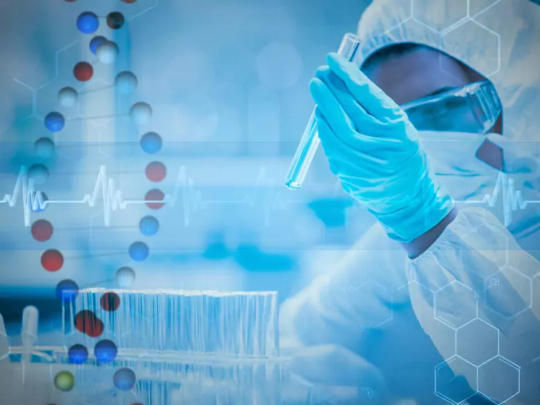 Sicherheits- und Wirksamkeitstests von Kosmetika