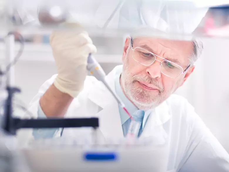 Zytogenetische Studien