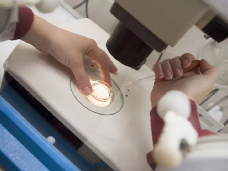 Lambliose - Ursachen, Symptome, Diagnose, Behandlung