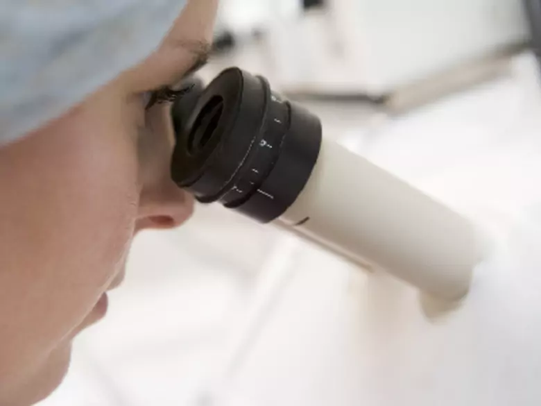 Immunstörungen - Ursachen, Symptome, Diagnose, Behandlung