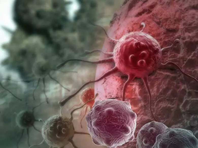 Salmonellen - wie gefährlich ist dieses Bakterium?