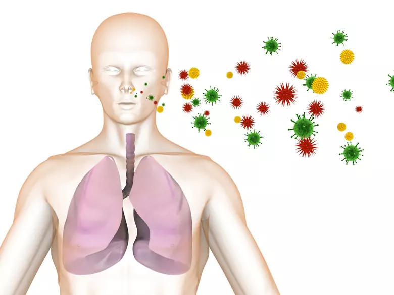 Coronavirus-Mythen