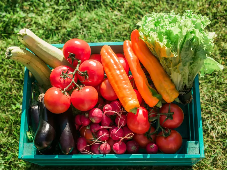 Was ist die Paleo-Diät und ist sie gesund?