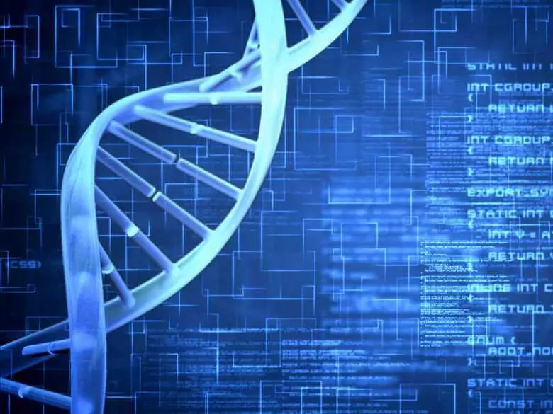 Mysteriöse Takahara-Krankheit