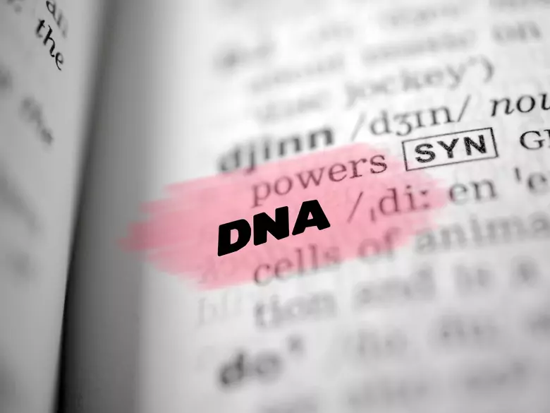 Gentests - wann sie besser sind als andere Methoden zur Diagnose von Krankheiten
