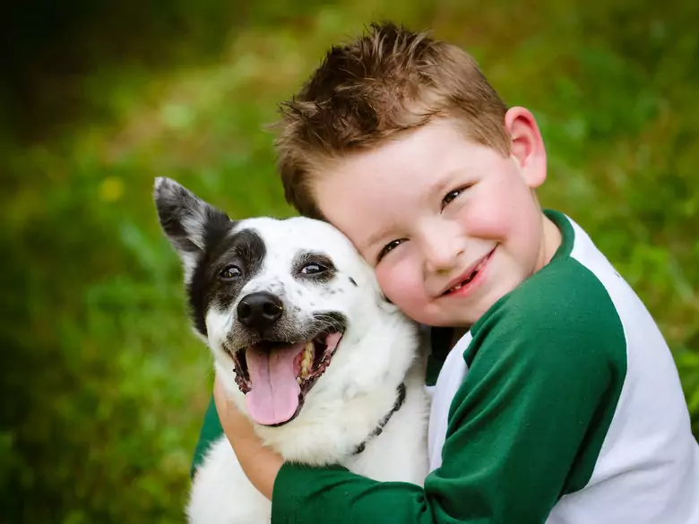 Hunde reduzieren das Risiko von Angststörungen bei Kindern