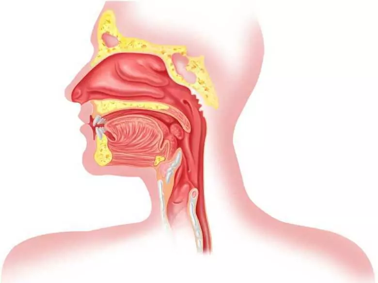 Gastroösophageale Refluxkrankheit - kann sie das Krebsrisiko erhöhen?