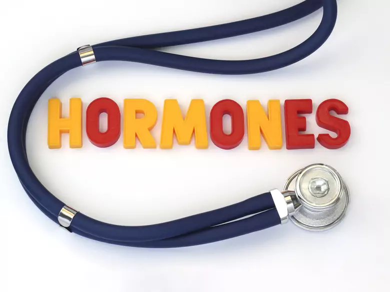 Die Bedeutung der Follikelflüssigkeit