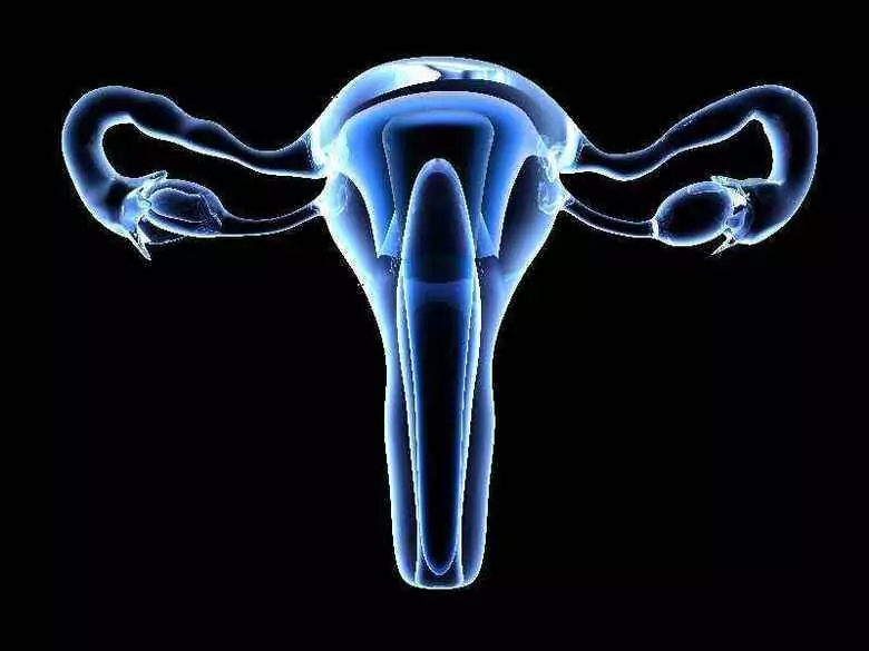 Physiologie des weiblichen Monatszyklus