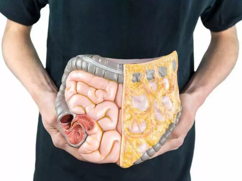 Was ist die FODMAP-Diät und für wen ist sie geeignet?