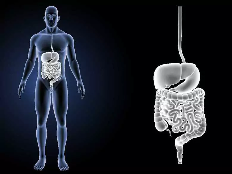 Vorbereitung auf eine Darmspiegelung - wie läuft sie ab und worauf sollte ich achten?