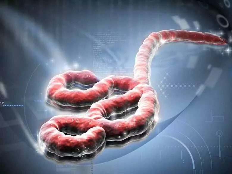 Marker Ca 19-9 - ein Marker für Magen- und Darmkrebs