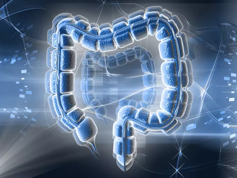 Was ist ein Präbiotikum?