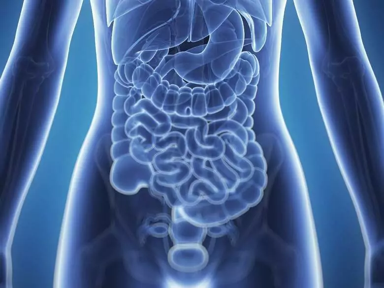 Was sind die Symptome einer Bauchspeicheldrüsenentzündung?