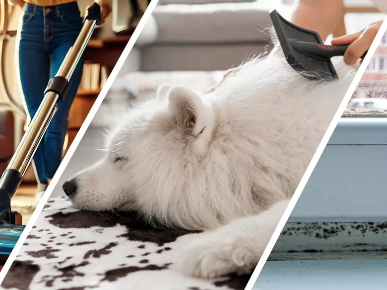 AleAlert: Hausstaubmilben, Schimmel und Tierhaare stellen im November eine Herausforderung für Allergiker dar