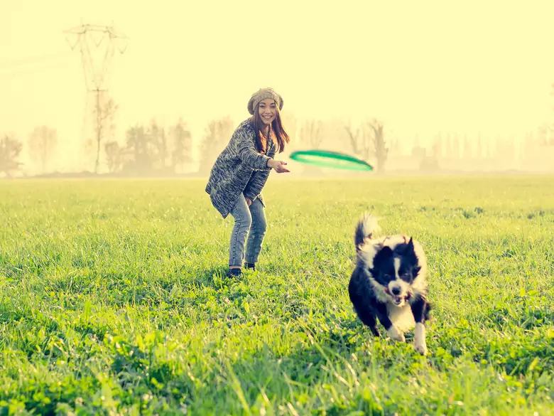 Auswirkungen von Haustieren auf die psychische Gesundheit ihrer Besitzer