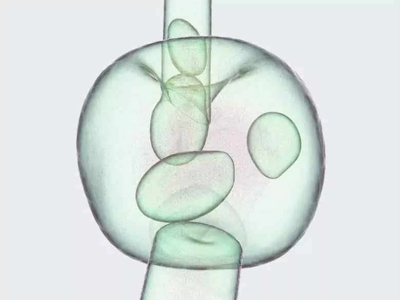 Tschechische Wissenschaftler haben einen neuen Weg entdeckt, um ein Medikament direkt in eine Zelle zu bringen!