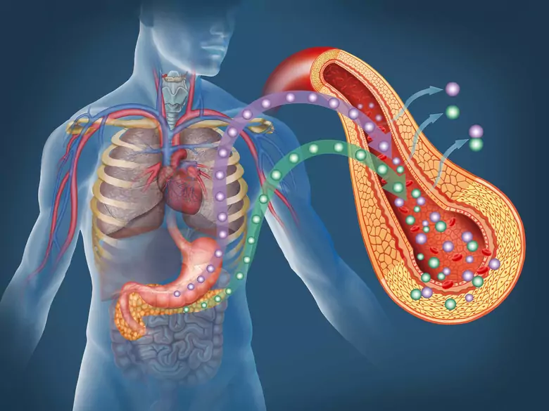 Prävention von venösen Thromboembolien