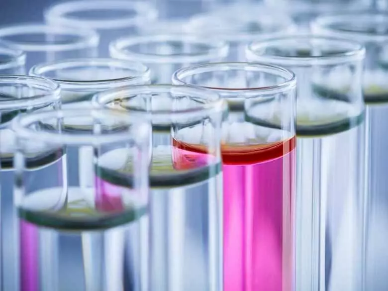 Arten von Stammzellen und ihre Verwendung in verschiedenen Bereichen der Medizin