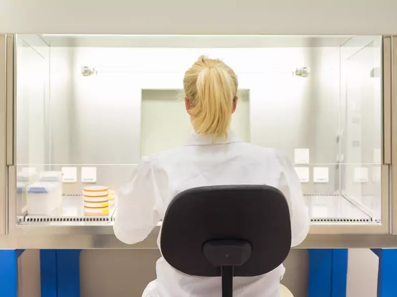 Bekämpfen Probiotika wirklich Stress?