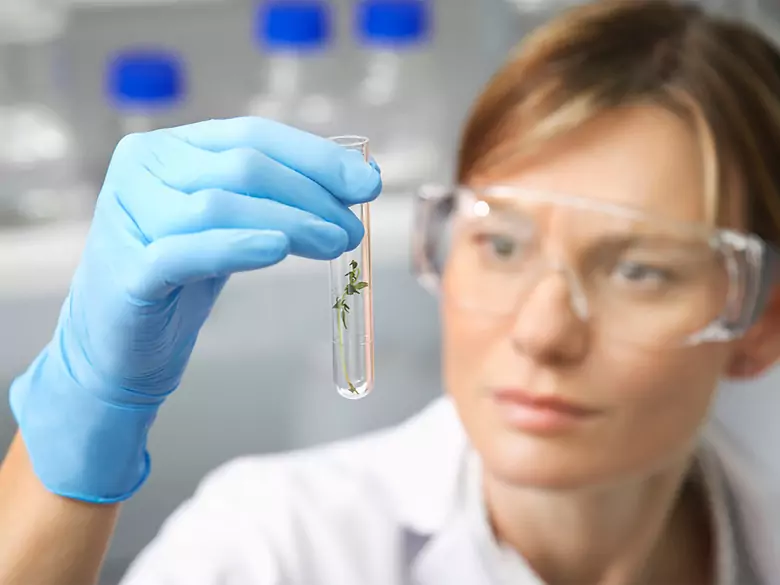 Marker CEA - Marker für Darmkrebs