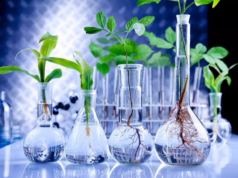 Eine neue Behandlungsmöglichkeit für dermatologische, kardiologische und gynäkologische Krankheiten!