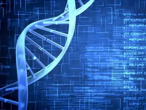 Neue Berichte über die Ursachen der Schizophrenie