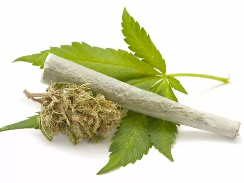 Der Kampf der tschechischen Regierung gegen Drogenmissbrauch. Bis zu einer Million Tschechen nehmen Drogen und missbrauchen sie!