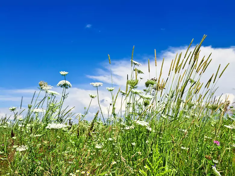 Paintball - ein Spiel, bei dem wir unser Augenlicht verlieren können?