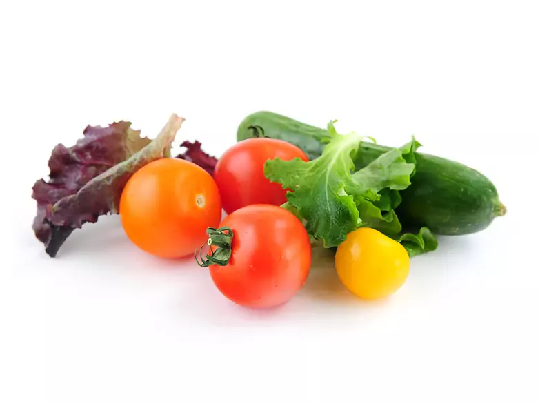 Dr. Gersons Therapie ein Heilmittel gegen Krebs?