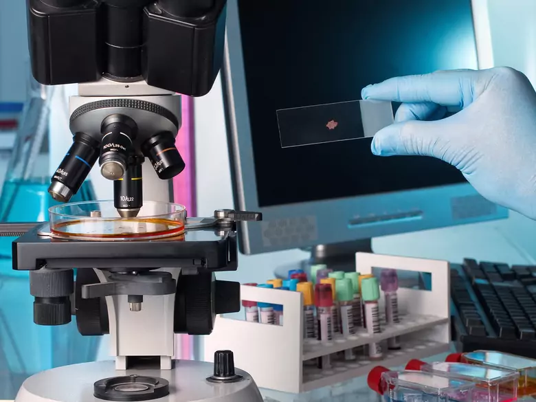 Methoden der Chromosomenanalyse