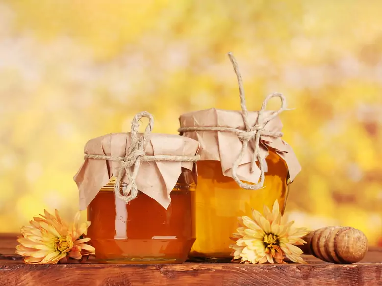 Apitherapie - die Verwendung von Bienenprodukten in der Therapie