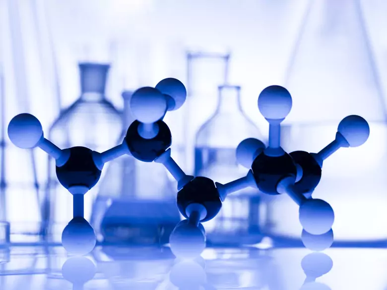 Biostoffe, die Elemente des Lebens - welche Rolle spielen sie im Körper?