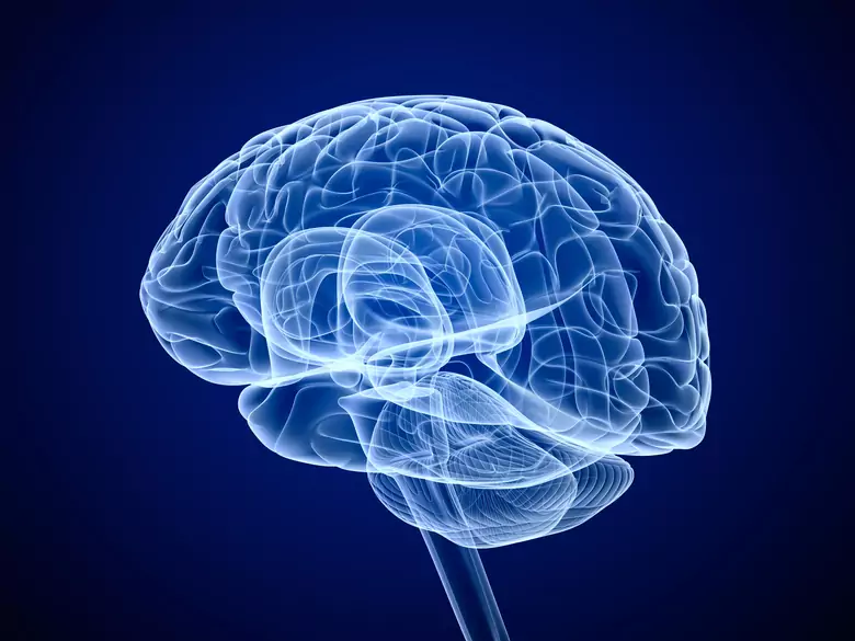 Epileptische Anfälle und ihre Arten