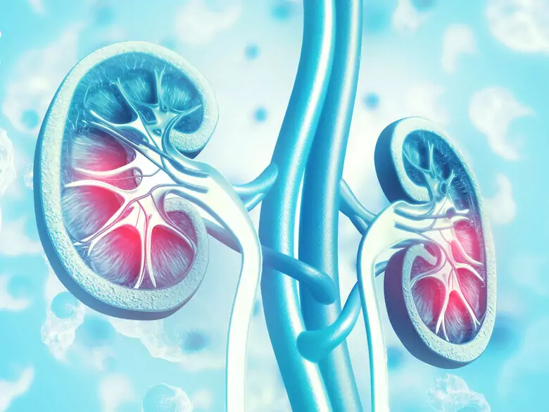 Wie geht man mit Nierenproblemen um?
