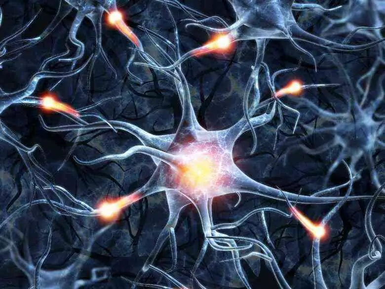 Die Rolle von BDNF und GABA bei der Neuroregeneration