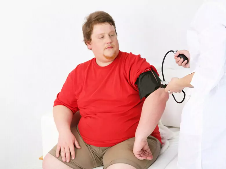 Metabolisches Syndrom – ein ernährungswissenschaftlicher Ansatz zur Prävention und Behandlung