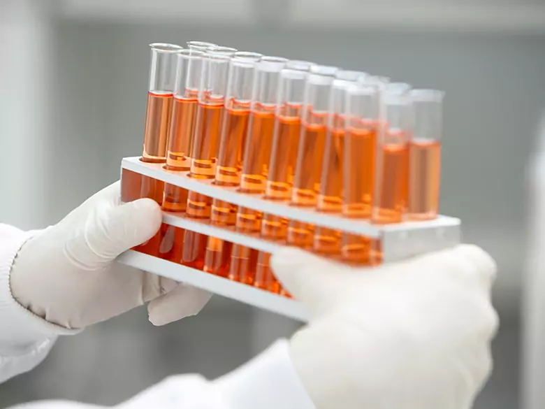 Polnische Spezialisten entwickeln innovative Flüssigkeit für Organtransplantationen