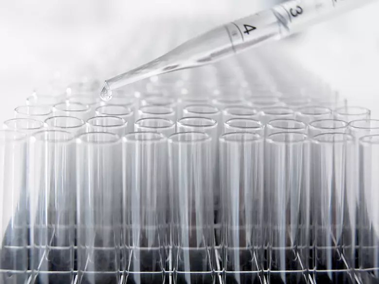 Intraperitoneale Anwendung von Progestagenen