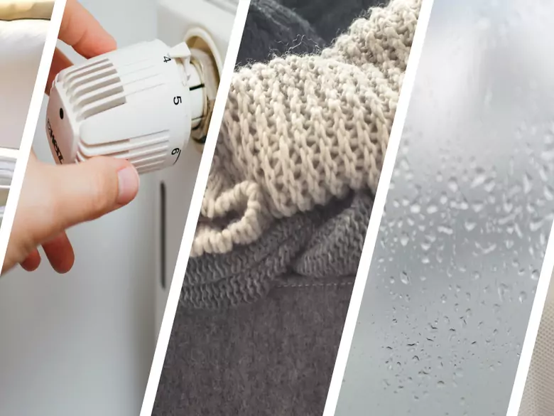 AleAlert: Im Winter sollten Allergiker auf Hausstaubmilben, trockene Luft und Schimmel achten