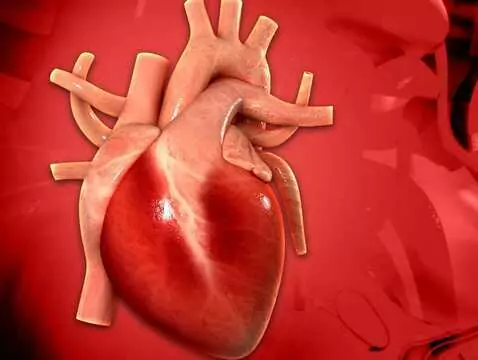 Koronare Herzkrankheit, ischämische Herzkrankheit - Ursachen, Symptome, Diagnose, Behandlung