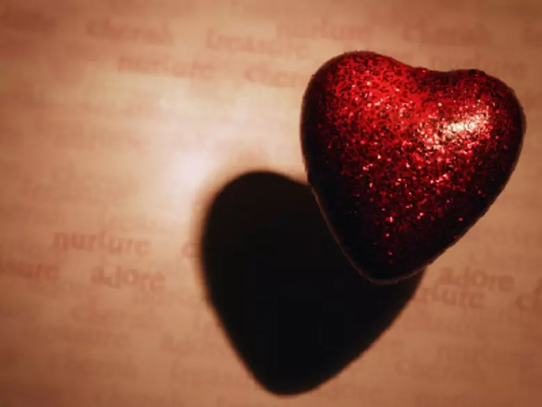 Aufbau des menschlichen Herzens